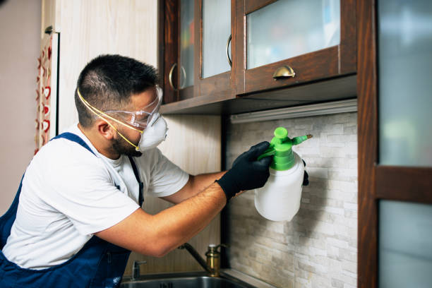 Best Exterminator Services  in Hatch, NM