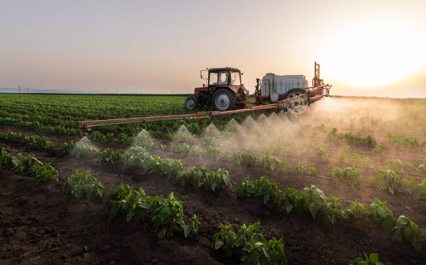 Pest Prevention Services in Hatch, NM