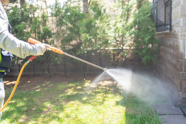 Pest Prevention Services in Hatch, NM