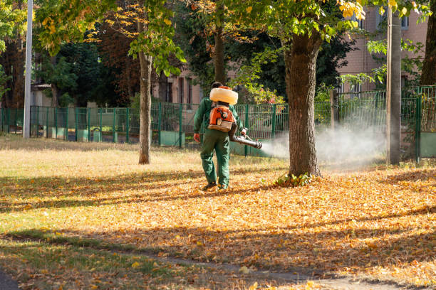 Wildlife Control Services in Hatch, NM