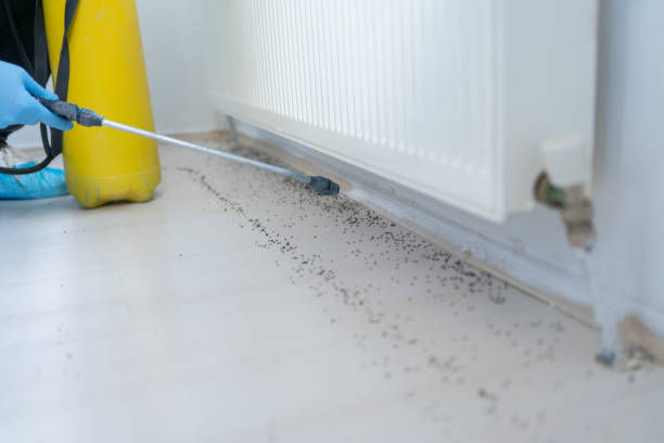 Best Local Pest Control Services  in Hatch, NM