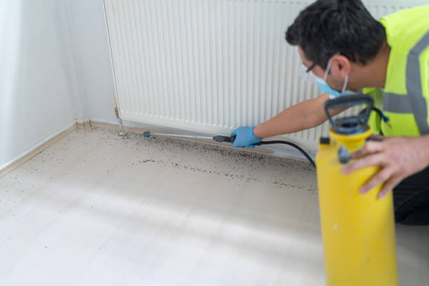 Best Flea Control Services  in Hatch, NM